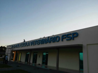 comunicação visual